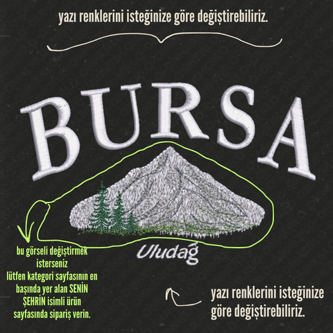 Bursa: Uludağ 1