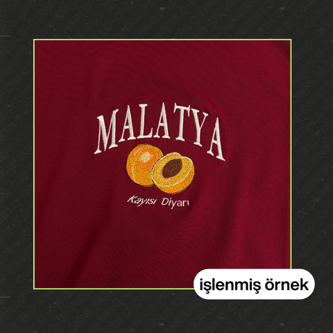 Malatya: Kayısı Diyarı