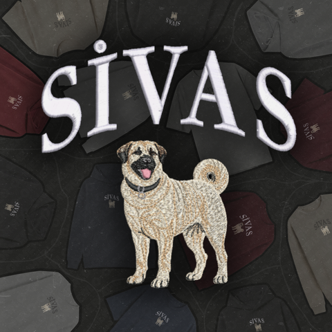 Sivas: Kangal