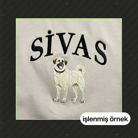 Sivas: Kangal